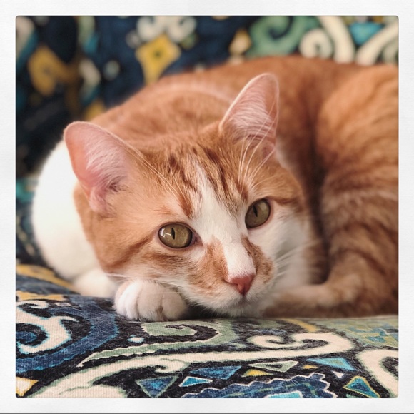 Meet the Posher - Picture 7 of 8